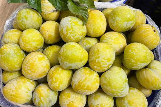 Thêm một loại quả Trung Quốc đổ bộ chợ Việt, giá 450.000 đồng/kg vẫn ‘cháy hàng’