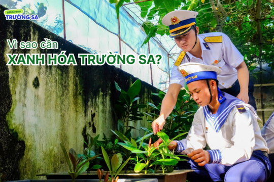 MB lan tỏa hành trình xanh HiGreen: Hướng về Trường Sa, phủ xanh triệu mầm sống