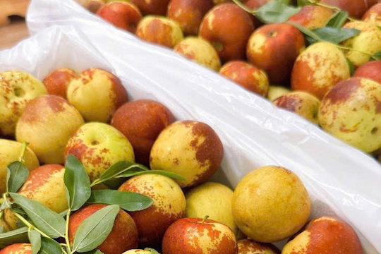 Chợ Việt ‘ngập’ hoa quả Trung Quốc, 6 tháng chi hơn 400 triệu USD nhập về bán