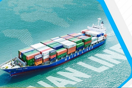 Cổ phiếu đối tác của Hòa Phát (HPG) tăng gần 1.700% sau 5 năm: Sắp trả cổ tức khủng