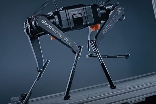 Chó robot chạy 100m chỉ 13 giây, lập kỳ tích khiến cả thế giới sửng sốt