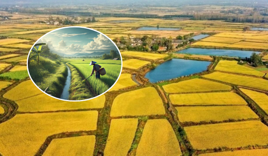Đề xuất giảm 70% tiền chuyển đất nông nghiệp sang đất ở