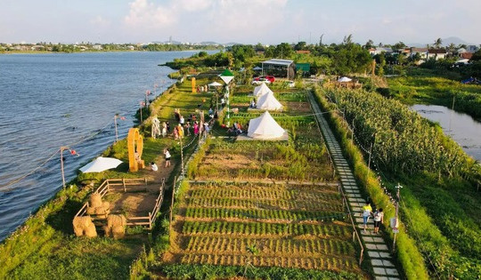 Nông trại giáo dục bị phạt vì lấn đất công ích, chính quyền cảnh báo thu hồi đất