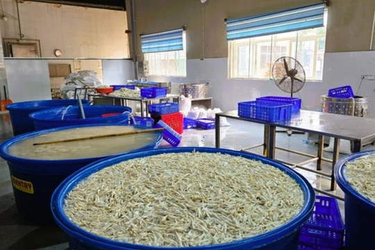 Phát hiện gần 7 tấn chân gà ngâm hóa chất tại kho đông lạnh ở Thanh Hoá