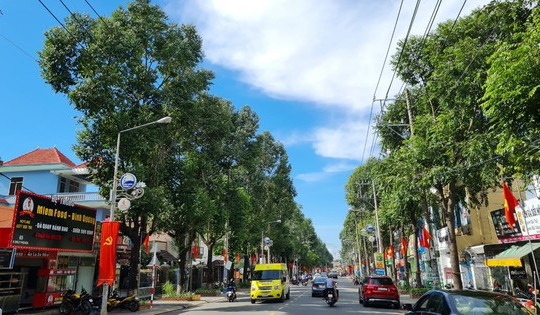 Một phường ở TP. HCM lên phương án đổi tên 37 khu phố trùng lặp