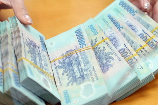 Truy tố nữ Giám đốc điều hành 2 doanh nghiệp