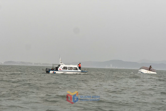 Đắm tàu chở hơn 50 người trên Vịnh Hạ Long, lực lượng cứu hộ khẩn cấp vào cuộc