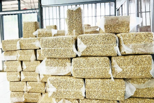 Xuất khẩu hạt vàng bật tăng mang về cho Việt Nam gần 2,4 tỷ USD nửa đầu năm, Trung Quốc tích cực thu mua