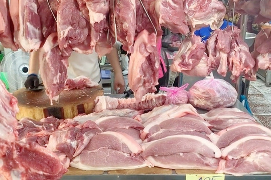 Tiểu thương bán thịt heo tại TP.HCM bị vạ lây vì tả heo châu Phi