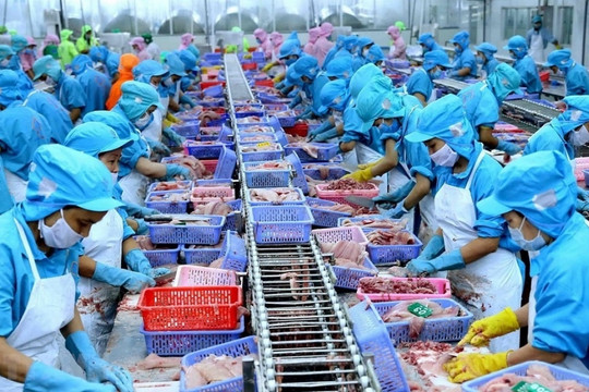Trung Quốc bất ngờ gom mạnh, mặt hàng thủy sản chủ lực của Việt Nam tăng giá kỷ lục