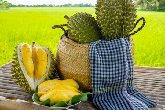 Sầu riêng kéo xuất khẩu rau quả tăng mạnh sau 5 tháng lao dốc