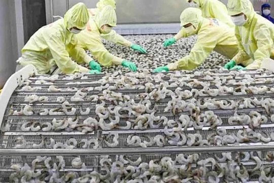 Một 'mỏ vàng dưới nước' vừa giúp Việt Nam thu về hơn 2 tỷ USD: Trung Quốc, Nhật Bản đua nhau chốt đơn, nước ta trở thành 'ông trùm' thứ 2 thế giới