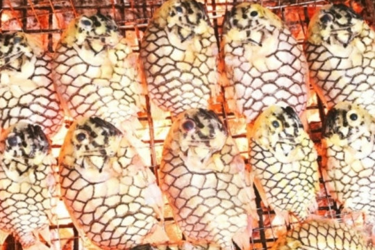 Loài cá lạ ở Việt Nam mang tên trái cây, được ví như 'thịt gà biển', giá 400.000 đồng/kg mà vẫn 'cháy hàng'