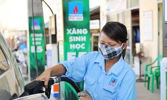 Bán xăng sinh học E10: Cần tránh 'vết xe đổ' như xăng E5
