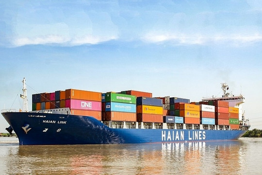 Công ty sở hữu đội tàu container lớn nhất Việt Nam chốt trả cổ tức tỷ lệ 40%