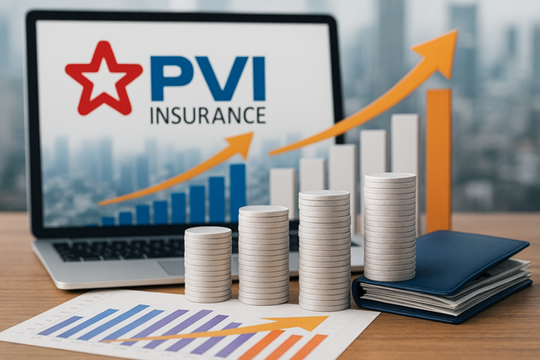 PVI lãi ròng quý II/2025 tăng 52%, danh mục tài chính vẫn tập trung vào tiền gửi và trái phiếu