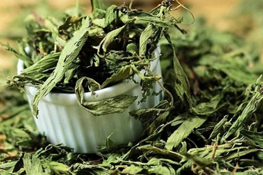 Bất ngờ loại cây ngọt hơn cả đường lại giúp hạ đường huyết cực tốt: Việt Nam cũng có, giá bao nhiêu?