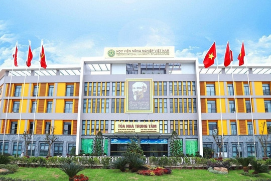 Ngành học gắn liền với ngành hàng hàng chục tỷ đô, điểm chuẩn từ 16 điểm: Tốt nghiệp doanh nghiệp săn đón, lương tới 200 triệu/tháng