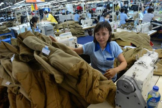 Công ty dệt may 50 năm tuổi: Từ đỉnh cao hơn 4.000 nhân sự xuống còn 29 người, sống dựa vào sân pickleball