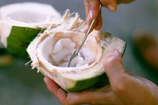 Một bộ phận của quả dừa, giá chưa tới 40.000 đồng/kg nhưng bổ ngang nhân sâm, tổ yến đang bị người Việt bỏ quên