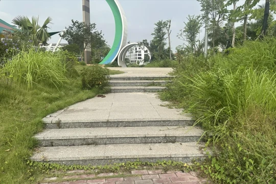 Vườn hoa cây xanh bị bỏ rơi?