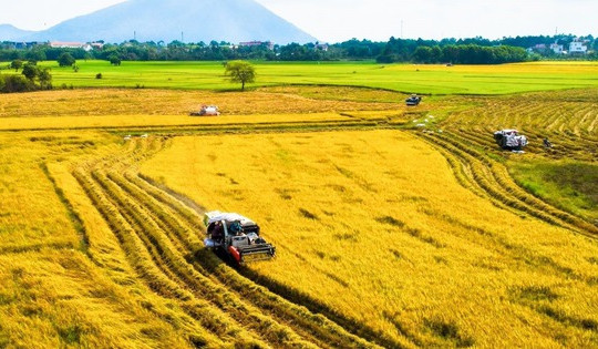 Nhà nước sẽ thu hồi đất nếu doanh nghiệp đạt thỏa thuận trên 75%?