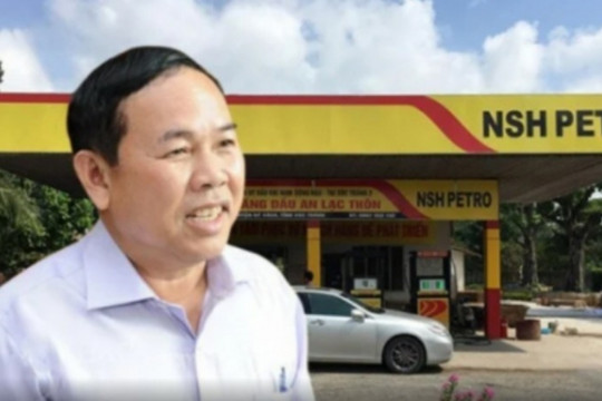 PSH lần đầu trắng doanh thu: Ôm nợ 10.000 tỷ, trả lãi chưa nổi 1 tỷ đồng