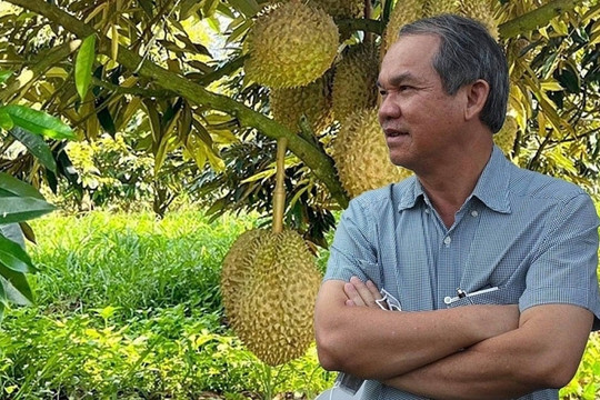 Hoàng Anh Gia Lai (HAG) bị phạt nặng vì không công bố thông tin sử dụng tiền từ trái phiếu
