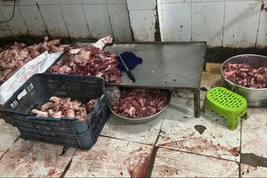 Phát hiện cơ sở giết mổ trái phép đang sơ chế, trữ đông 1 tấn thịt heo không không rõ nguồn gốc