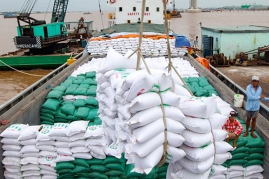 Quốc gia Đông Nam Á nhập khẩu gạo lớn nhất thế giới đột ngột ‘bẻ lái’, thị trường gạo Việt Nam có bị ảnh hưởng?