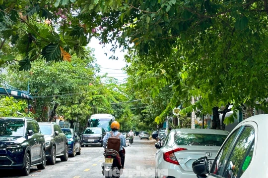 Loạt tuyến đường ở Đà Nẵng biến thành bãi đậu xe