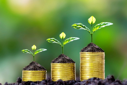 Thêm một doanh nghiệp VN30 thông báo về kế hoạch trả cổ tức
