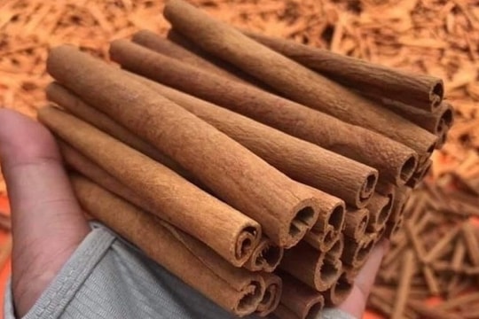 Lý do 22 tấn 'vàng xanh' của Việt Nam bị Ba Lan từ chối