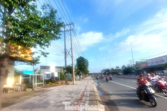 Thu hồi dự án nhà ở bỏ hoang 17 năm trên 'đất vàng' TPHCM