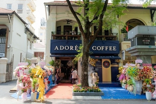 Diện mạo của thương hiệu vừa 'ngồi ghế nóng' Hàn Thuyên mà Starbucks để lại