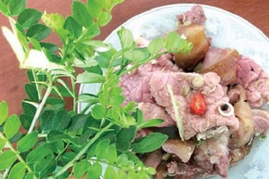 Từ bụi rậm lên bàn tiệc: Loài cây dại tên lạ từng bị lãng quên, giờ thành đặc sản được đầu bếp săn lùng, giá cao bất ngờ