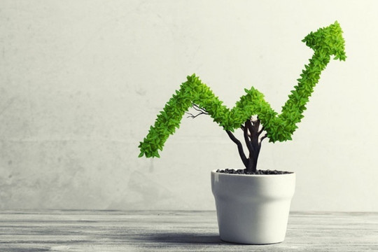 HoSE ra mắt chỉ số VNMITECH và VN50 Growth: Thêm cơ hội mới cho nhà đầu tư