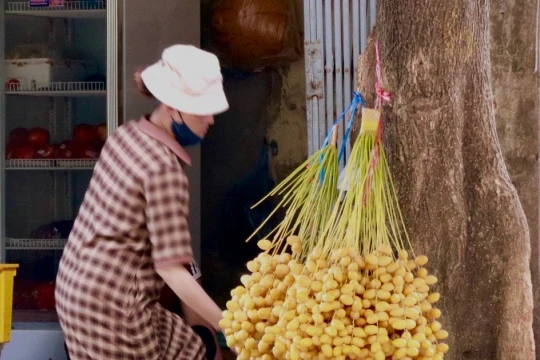 Chà là tươi Thái Lan giá rẻ bán khắp Hà Nội