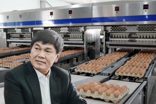 Giá trứng tăng cao, Hòa Phát (HPG) 'hái quả ngọt' với 1 triệu quả bán ra mỗi ngày