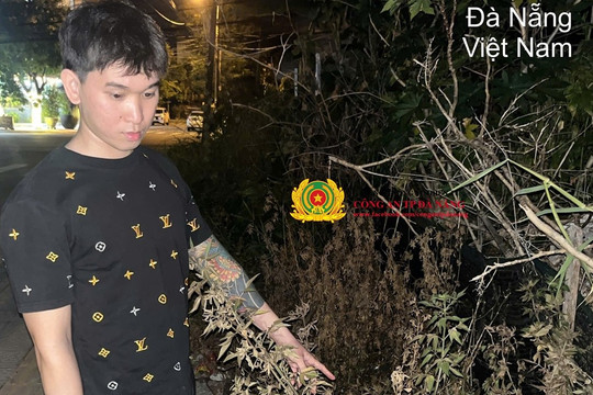 'Truy nóng' Nguyễn Thanh Vân