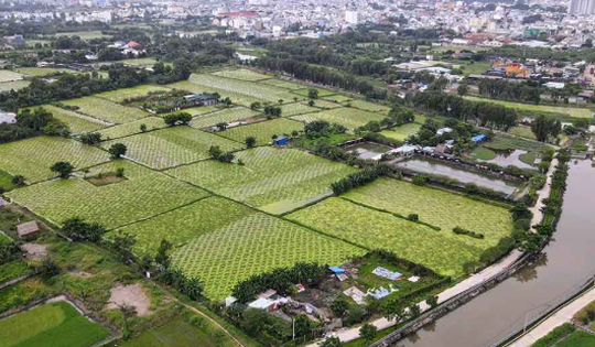 Công viên 25 năm không một bóng người lớn thứ 2 TP. HCM, quy mô 150ha gấp 9 lần Thảo Cầm Viên đón tin vui