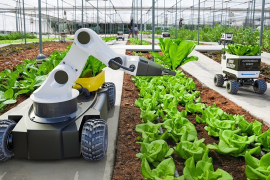 Láng giềng Việt Nam ra mắt robot lai giống thông minh đầu tiên trên thế giới