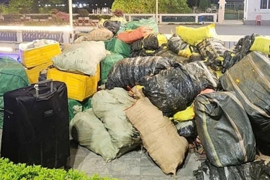 Khoảng 7 tấn lạp xưởng cùng 2,6 tấn trứng gà non và 750 kg nầm lợn ngụy trang kỹ nhưng vẫn bị phát hiện