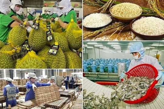 Nông sản Việt thu gần 40 tỷ USD từ xuất khẩu trong 7 tháng