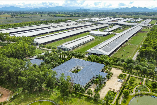 Việt Nam có thương hiệu sữa được đánh giá tiềm năng nhất toàn cầu