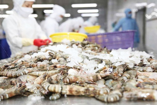 Mỹ ra thông báo thu hồi khẩn cấp mặt hàng tôm đông lạnh nhập khẩu do lo sợ nguy cơ nhiễm phóng xạ