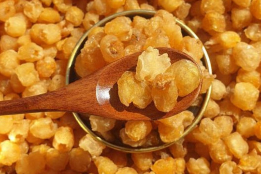 Trung Quốc ồ ạt thu mua một loại quả 'tiến vua' của Việt Nam, nước ta dự kiến có sản lượng hơn 50.000 tấn