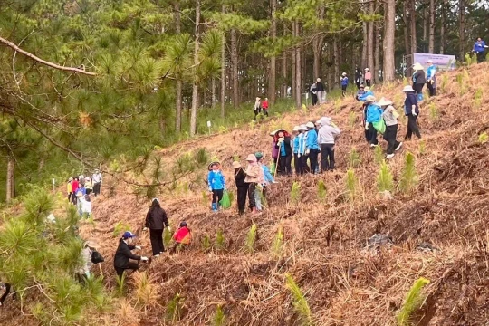 Lâm Đồng trồng mới hàng nghìn cây xanh bảo vệ môi trường