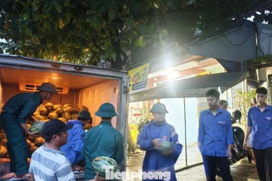 Bão số 5 áp sát, cả phường ngược xuôi giải cứu dưa hấu