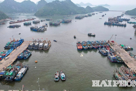 Khuyến khích giảm 50% giá phòng, hỗ trợ du khách bị kẹt lại do ảnh hưởng của bão số 5